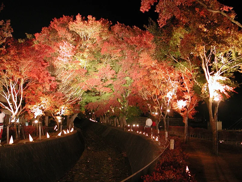 富士河口湖紅葉まつり