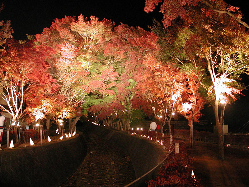 富士河口湖紅葉まつり